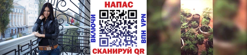 Сколько стоит Балтийск АМФЕТАМИН  COCAIN  МЕФ  Гашиш  А ПВП 