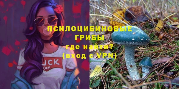 эйфоретик Баксан