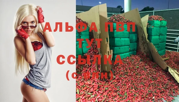 эйфоретик Баксан