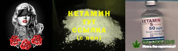 эйфоретик Баксан