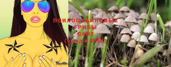 эйфоретик Баксан
