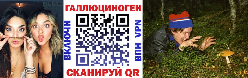 Псилоцибиновые грибы Psilocybe  купить наркоту  Балтийск 