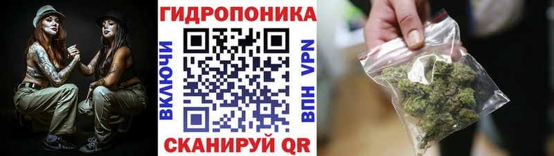 где продают наркотики  Балтийск  Канабис ГИДРОПОН 